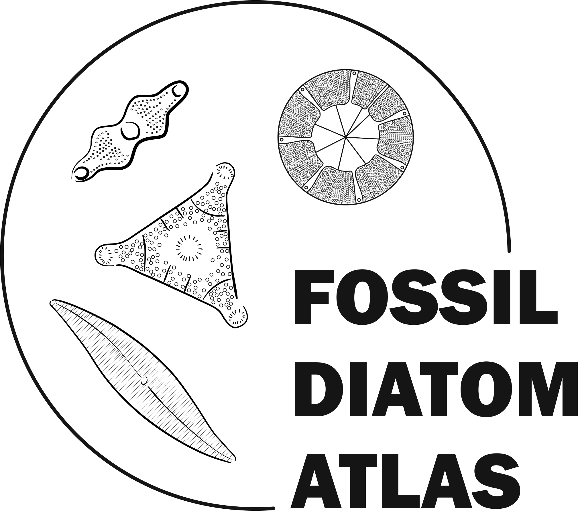 Stylized logo of the Fossil Diatom Atlas